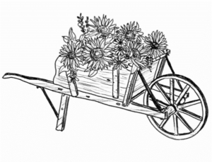 Ee Edition Sketch Sunflower Fieleds &Ndash; Thomas Kinkade Gallery Of Murfreesboro Ee Edition Sketch Sunflower Fieleds