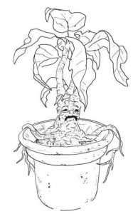 Harry Potter Greenhouse Ee Sketch