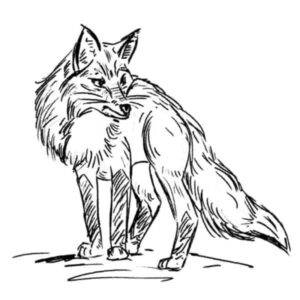 Fall Fox Creek Ee Sketch &Ndash; Thomas Kinkade Gallery Of Murfreesboro Fall Fox Creek Ee Sketch