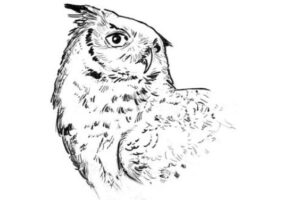 Hogwarts Express Ee Sketch
