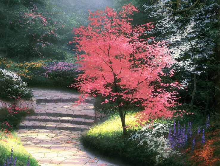 Afternoon Light, Dogwood