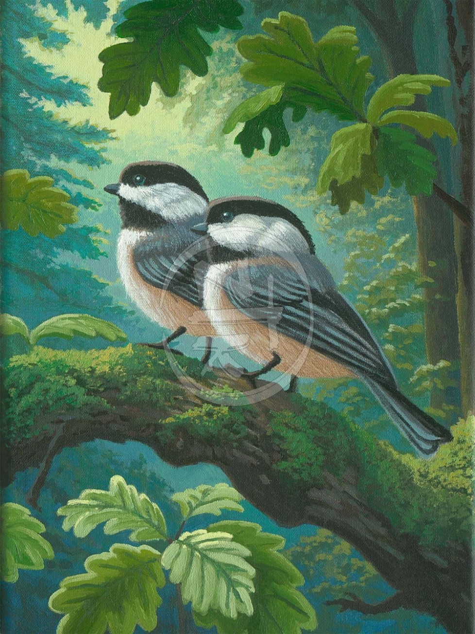 Chickadees In Spring
