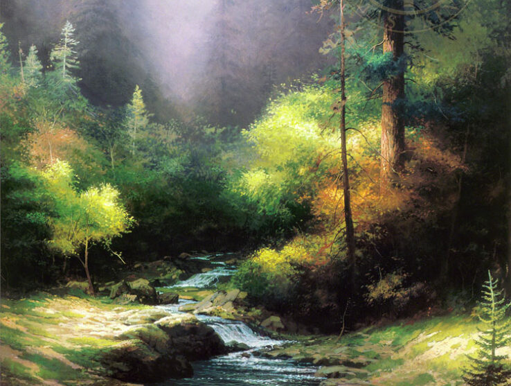 Creekside Trail