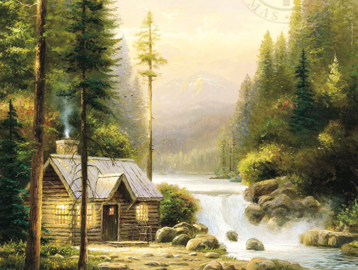 Evening In The Forest