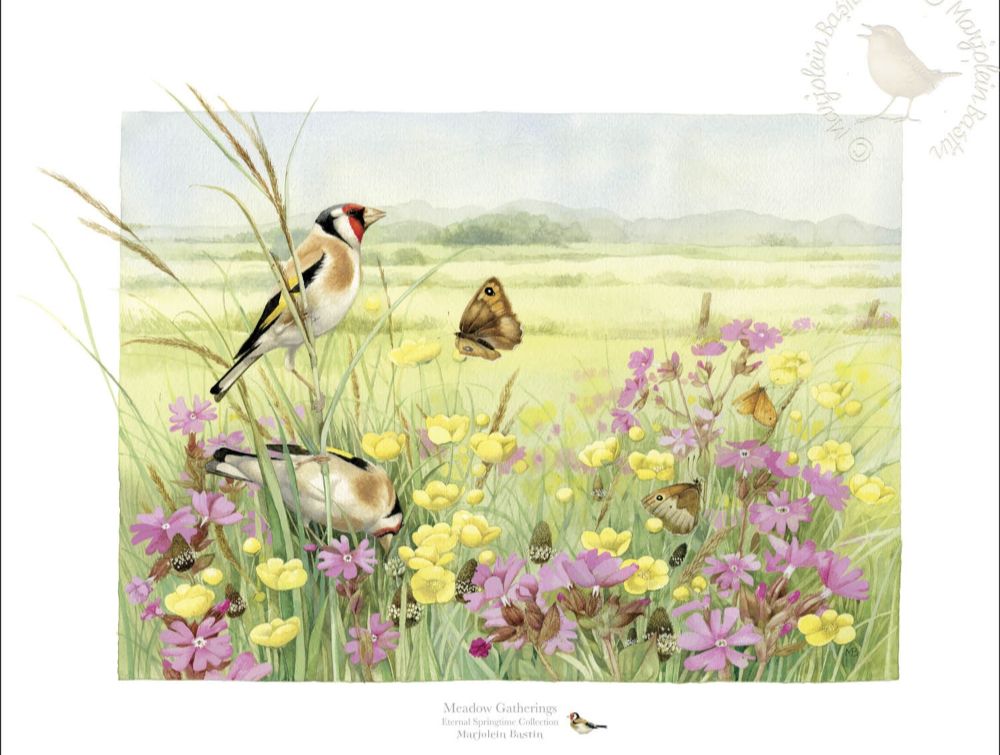 Marjolein Bastin Art Beauty Summer Indoors &Ndash; Thomas Kinkade Gallery Of Murfreesboro Meadow Gatherings By Marjolein Bastin. European Goldfinches Look For Seeds Among Yellow Buttercups And Pink Ragged Robin Plants.