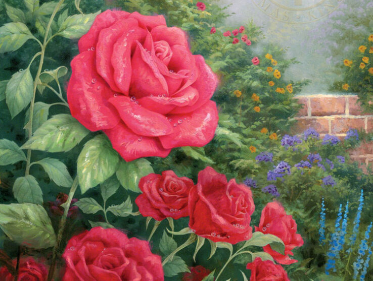 A Perfect Red Rose
