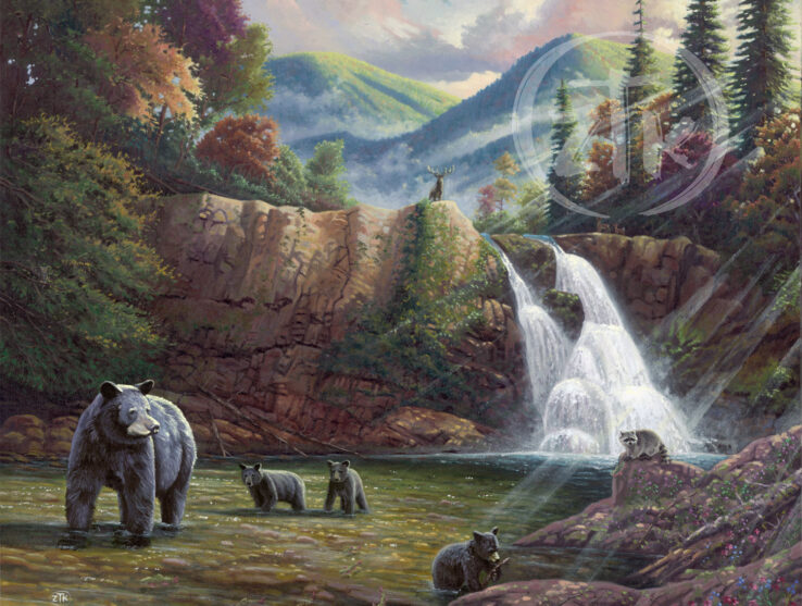 Spirit Of The Smokies