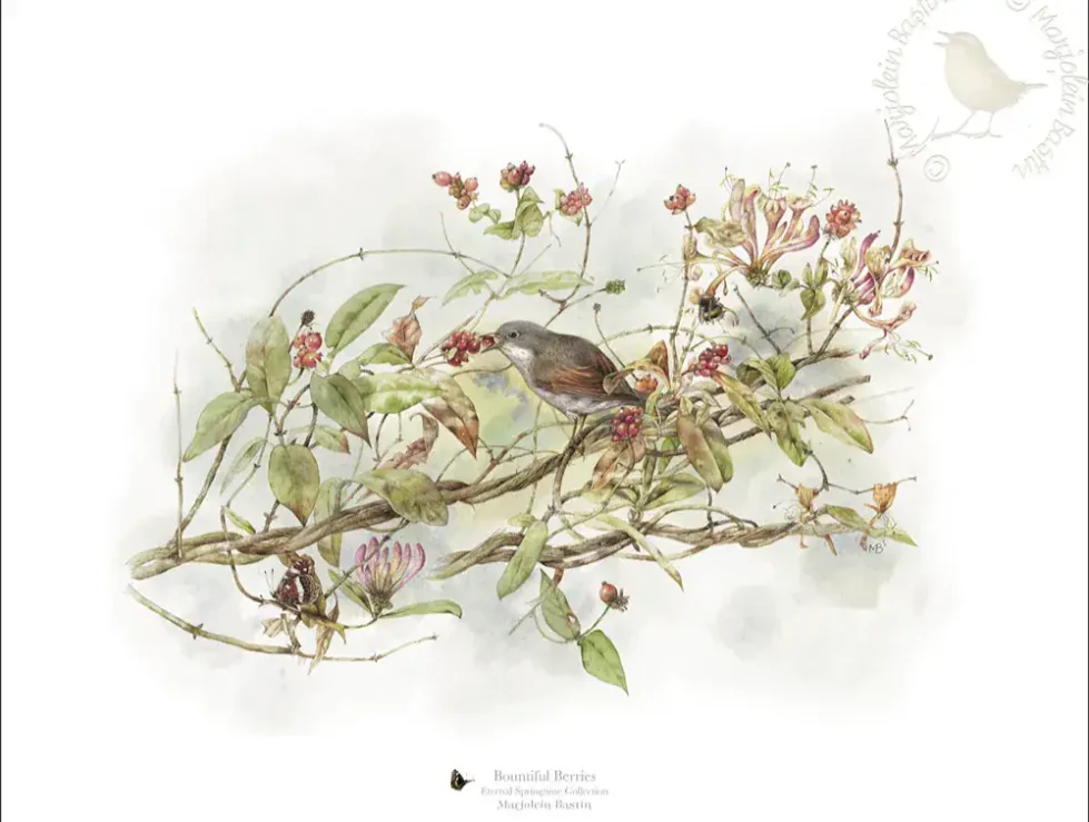 The Painting Of Bountiful Berries By Marjolein Bastin.